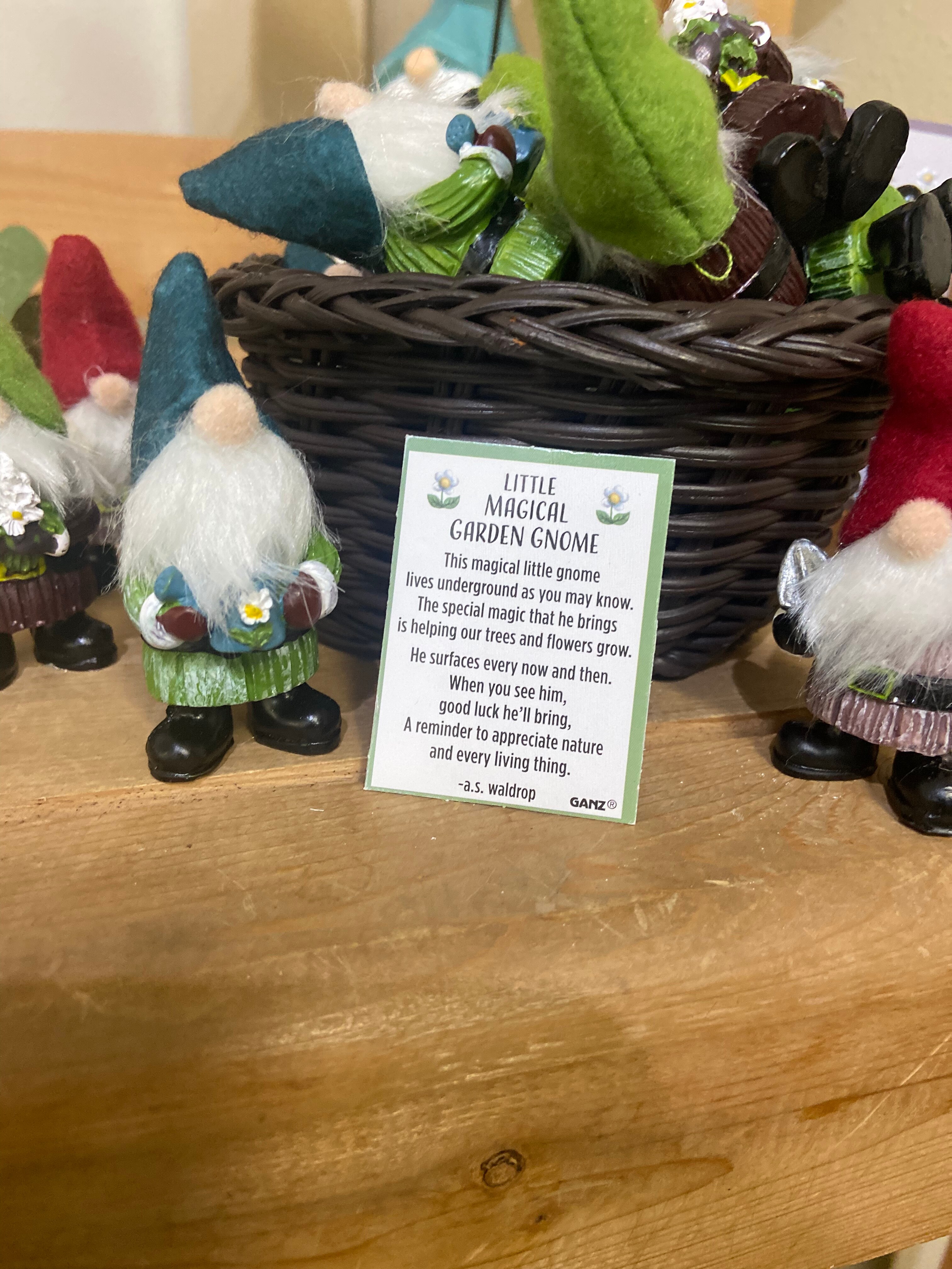 Magical Garden Gnome